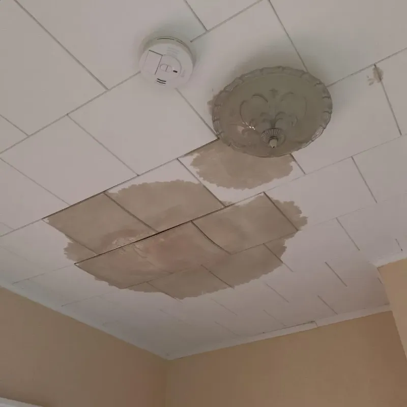 Ceiling Water Damage Repair in Wolcott, NY